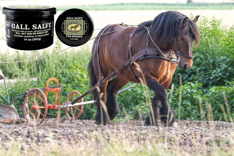 Bickmore Gall Salve Wound Cream For Horses 14oz - Quick Equine Relief of Sores, Abrasions, Cuts and Galls - Image 3